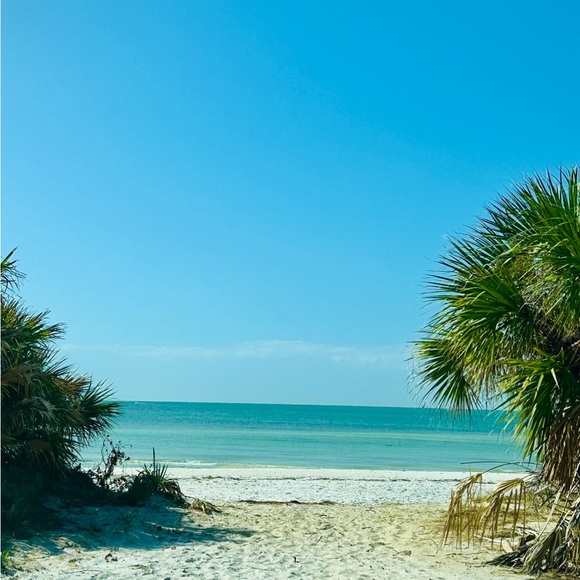 ✨LIVE SHOW FLYER✨ - Picture 5 of 17